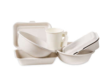 Picture for category Bagasse