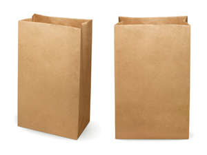 Picture of #1 Kraft Bag Bundle Import